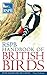 RSPB Handbook of British Birds by Peter Holden
