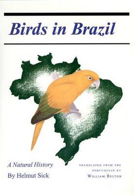 Birds in Brazil