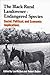 The Black Rural Landowner:Endangered Species: Social, Political, and Economic Implications (Contributions in Afro-American and African Studies: Contemporary Black Poets)