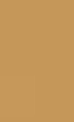 The Meaning of Heidegger: A Critical Study of an Existentialist Phenomenology (Hardcover)