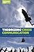 Theorizing Crisis Communication (Foundations of Communication Theory Series)