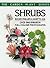 Shrubs