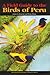 A Field Guide to the Birds of Peru by James F. Clements