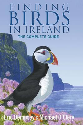 Finding Birds in Ireland: The Complete Guide