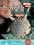 Incredible Mollusks (Incredible Creatures)