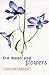 Moon and Flowers: A Woman's Path to Enlightenment