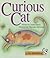 Curious Cat