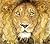 The Lion and the Mouse by Jerry Pinkney The Lion and the Mouse by Jerry Pinkney