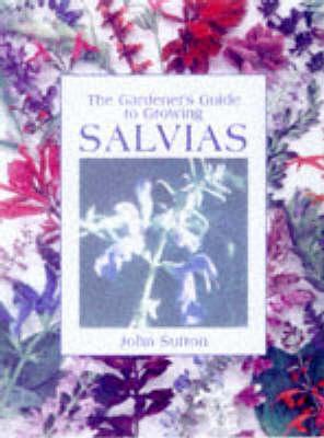 The Gardener's Guide to Growing Salvias