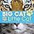 Big Cat, Little Cat
