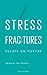 Stress Fractures: Essays on Poetry