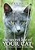 The Secret Life of your Cat: The visual guide to all your cat's behaviour