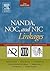 NANDA, NOC, and NIC Linkage...