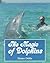 The Magic of Dolphins by Horace E. Dobbs