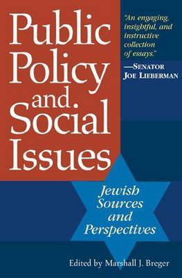 Public Policy and Social Issues: Jewish Sources and Perspectives (Hardcover)