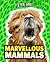 Marvellous Mammals