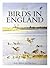 Birds in England