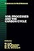 Soil Processes and the Carb...