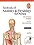Gynaecology Oncology