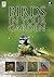 Birds in Your Garden: Expert Advice on Attracting Birds Into Your Garden