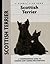 Scottish Terrier by Muriel P. Lee