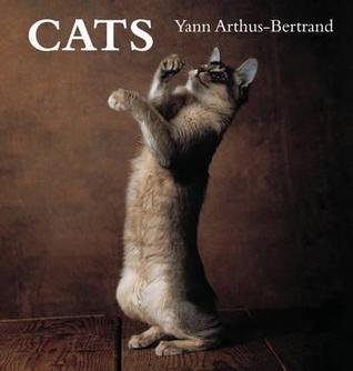 Cats (Hardcover)