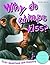 Why Do Chimps Kiss?
