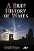 A Brief History of Wales