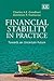 Financial Stability in Prac...