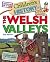 Children's History of the Welsh Valleys by Sue Barrow
