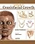 Textbook of Craniofacial Growth by Sridhar Premkumar