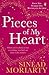 Pieces of My Heart