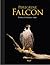 Peregrine Falcon