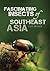 Fascinating Insects of Southeast Asia