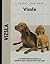 Vizsla (Comprehensive Owner's Guide)