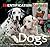Dogs: Identification Guide (Identification Guides)