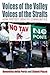 Voices of the Valley, Voices of the Straits: How Protest Creates Communities (Protest, Culture & Society, 1)