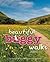 Beautiful Buggy Walks
