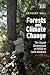 Forests and Climate Change: The Social Dimensions of REDD in Latin America