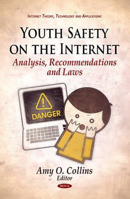 Youth Safety on the Internet: Analysis, Recommendations and Laws (Internet Theory, Technology and Applications)
