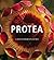 Protea
