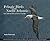 Pelagic Birds of the North Atlantic