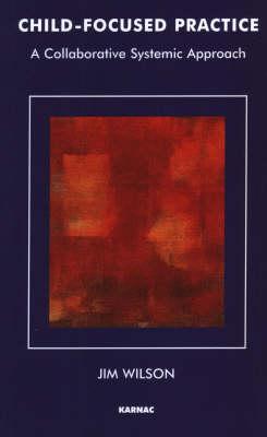 Child-Focused Practice: A Collaborative Systemic Approach (The Systemic Thinking and Practice Series)