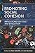 Promoting social cohesion: Implications for policy and evaluation
