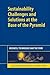 Sustainability Challenges and Solutions at the Base of the Pyramid: Business, Technology and the Poor