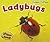 Ladybugs (Creepy Critters)