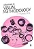 Advances in Visual Methodology