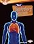 Your Respiratory System (Searchlight Books ™ - How Does Your Body Work?)