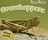Grasshoppers (Creepy Critters)