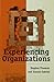 Experiencing Organizations
